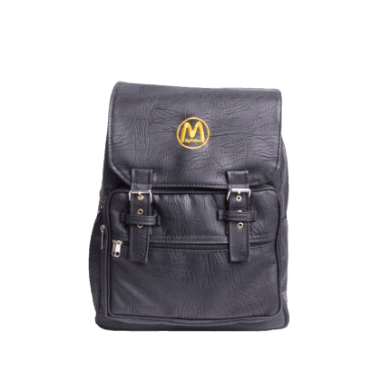 Santa Back Pack